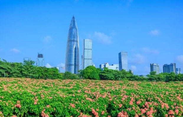 微信截图_20250211102405